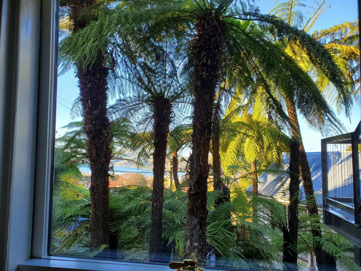 Koru Flat Daire Dunedin Dış mekan fotoğraf
