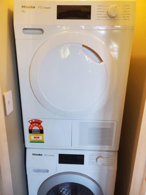Koru Flat Daire Dunedin Dış mekan fotoğraf